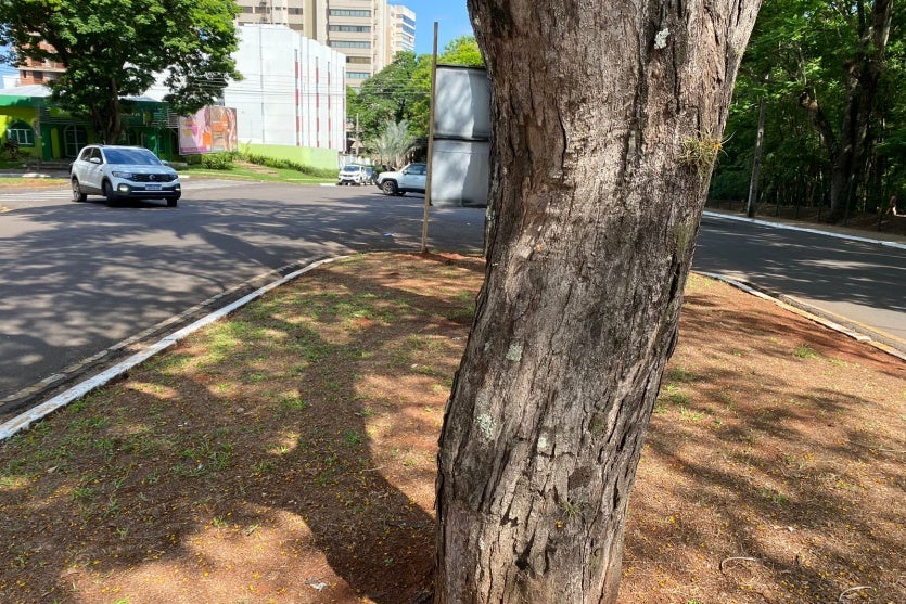 Whatsapp Image 2024 10 23 At 09.29.28