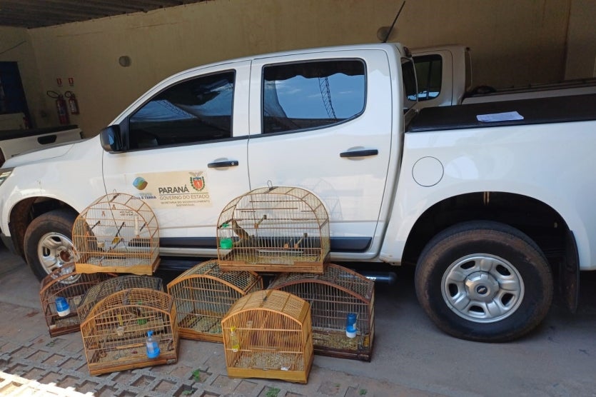 Cativeira Passaros 1 Iat Umuarama