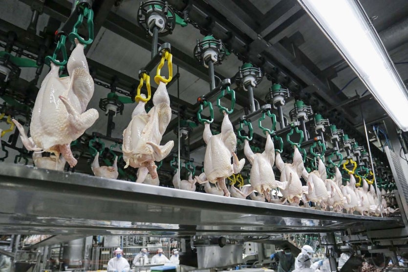 Lar Cooperativa Abate De Frango 1