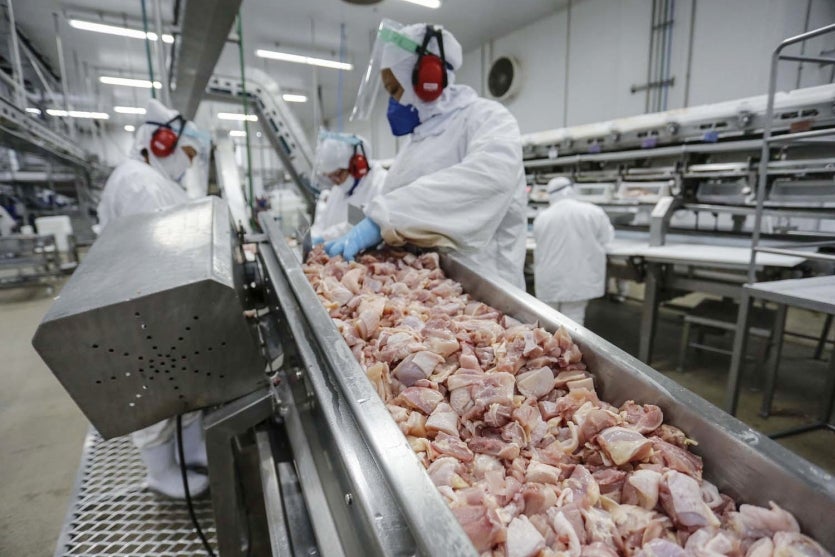 Lar Cooperativa Abate De Frango 11