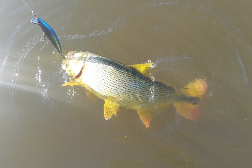 Reserva Rio Ivai 2 Iat