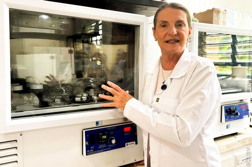 2024 11 11 Entrevista Com A Professora Rosangela Bergamasco Ok