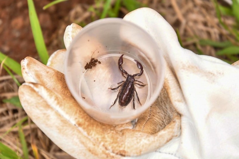 51601552202 33d2454275 C