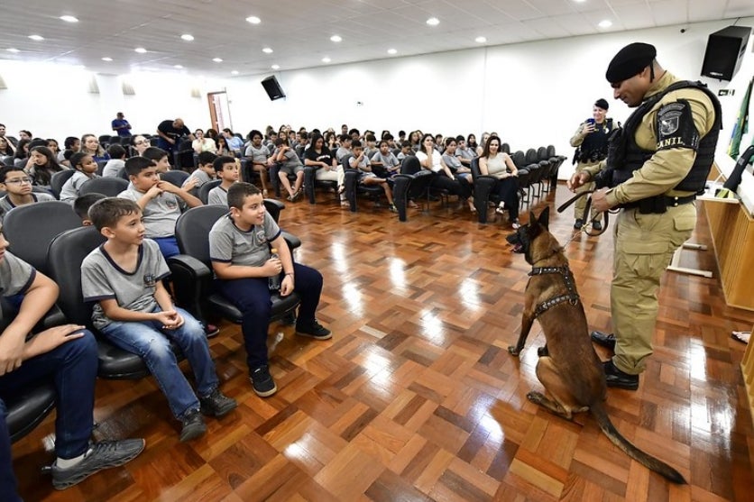 54110018921 B813103142 C