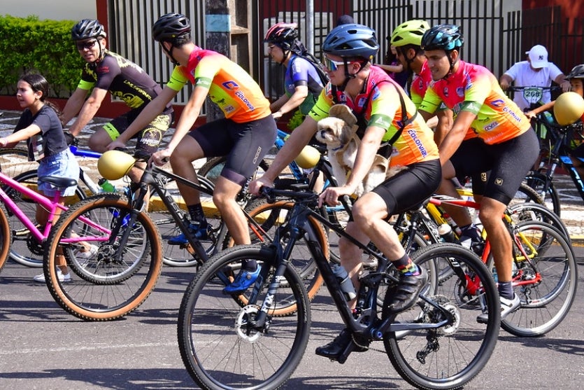 54147192212 A886844864 C