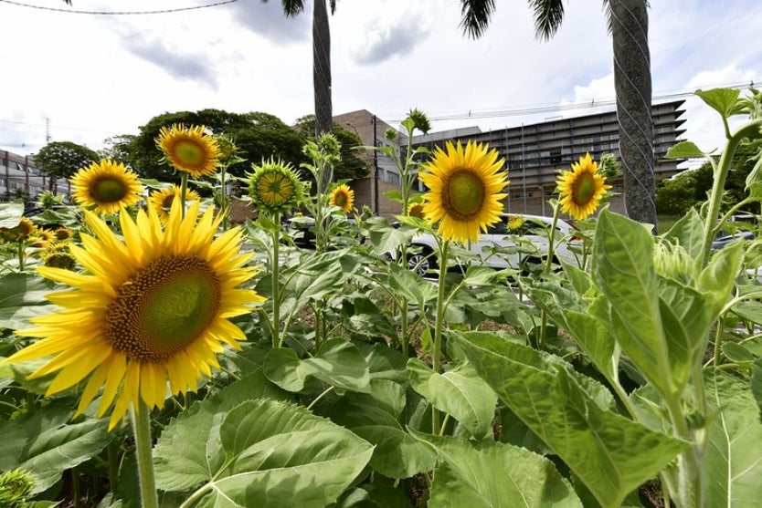 54149220093 86f5735b15 C