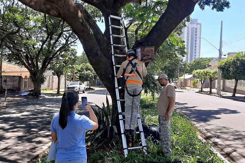 54149622683 5d829c2ed2 B