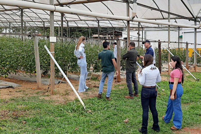 54166833905 Cf5afa0774 H