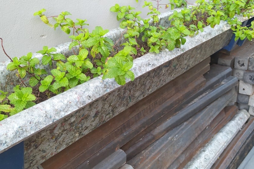Floreira construída com as caixinhas de leite