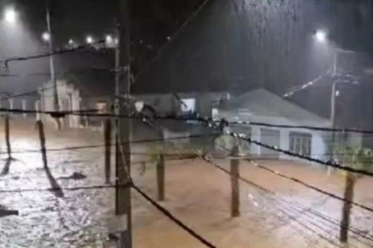 Captura De Tela 2024 11 07 111818