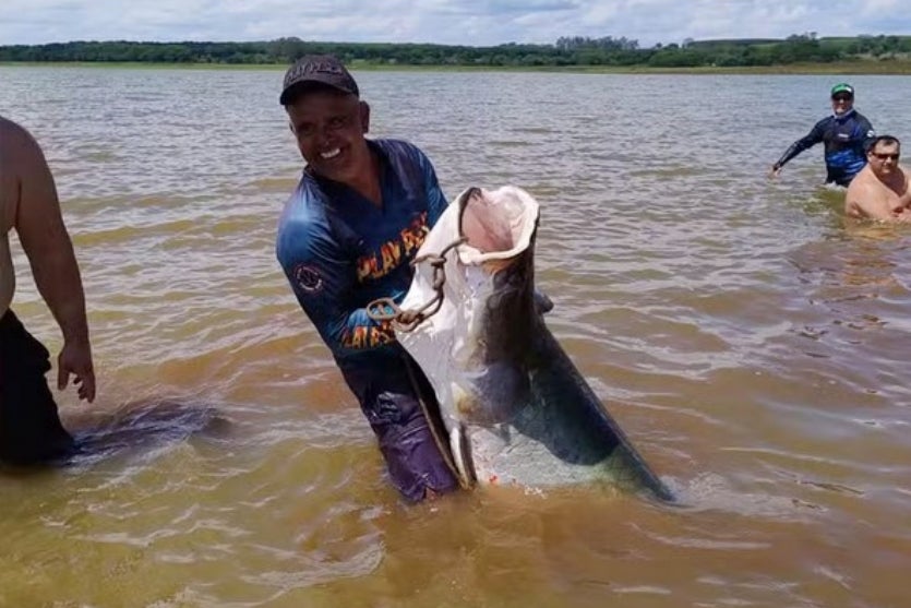 Captura De Tela 2024 11 22 230059