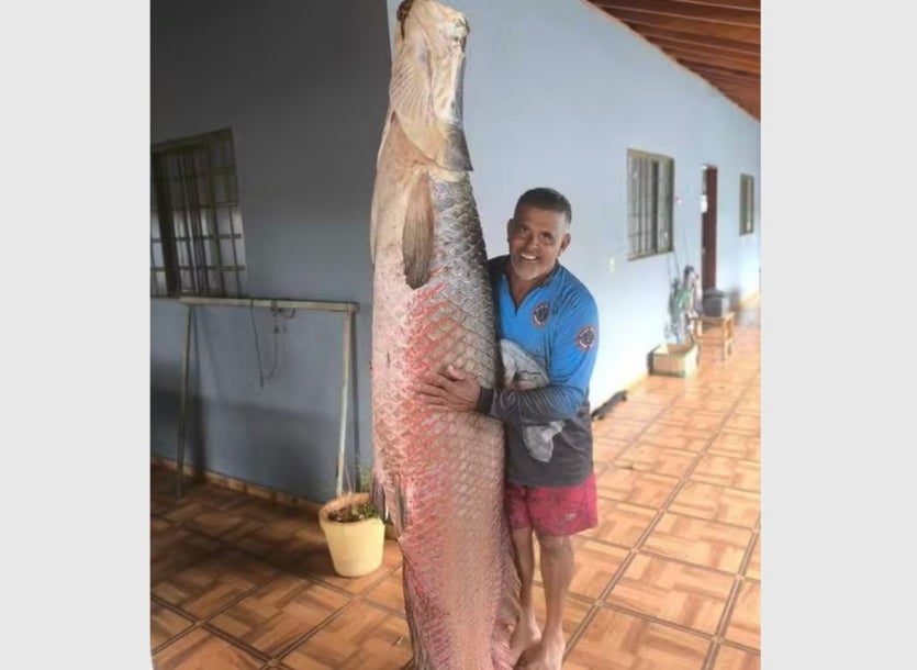 Captura De Tela 2024 11 22 230337