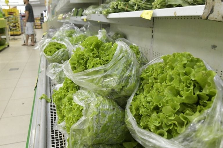 Com 35% De Reajuste, Alface Foi O Produto Que Mais Aumentou De Preço No último Mês