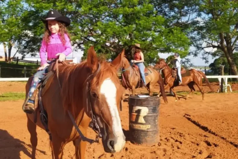 Escola De Equitação Alia Aprendizado E Bem Estar Em Umuarama