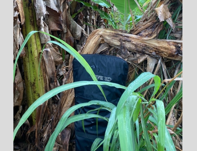 Imagem Do Whatsapp De 2024 11 02 à(s) 16.03.30 1304c11d