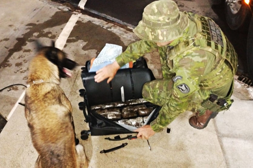 Imagem Do Whatsapp De 2024 11 03 à(s) 09.19.01 F1d929fd