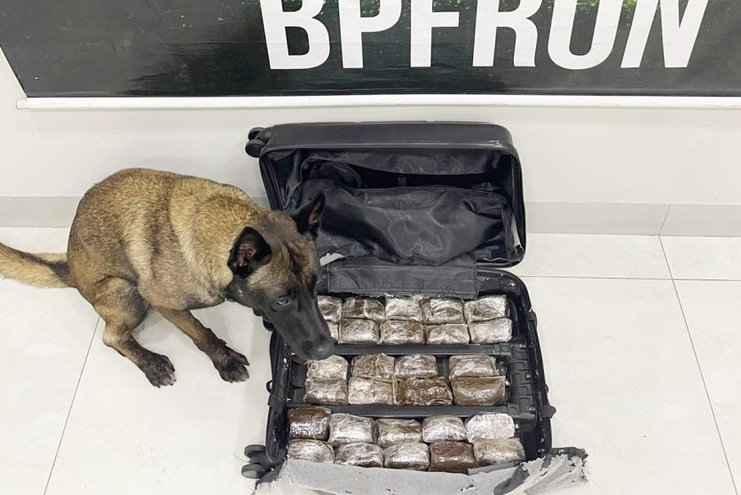 Imagem Do Whatsapp De 2024 11 03 à(s) 09.19.10 2dc6b03e