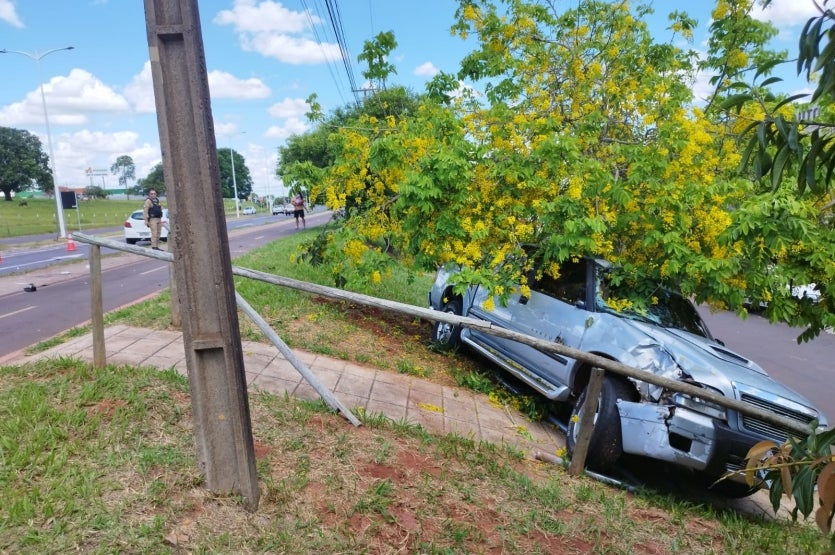 Imagem Do Whatsapp De 2024 11 09 à(s) 14.32.44 15a074f3