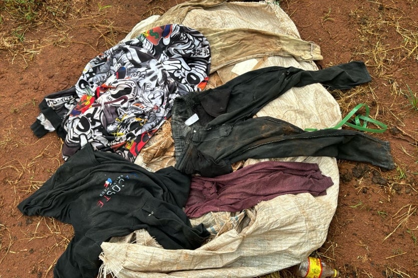 Imagem Do Whatsapp De 2024 11 21 à(s) 17.09.02 F1d8d813