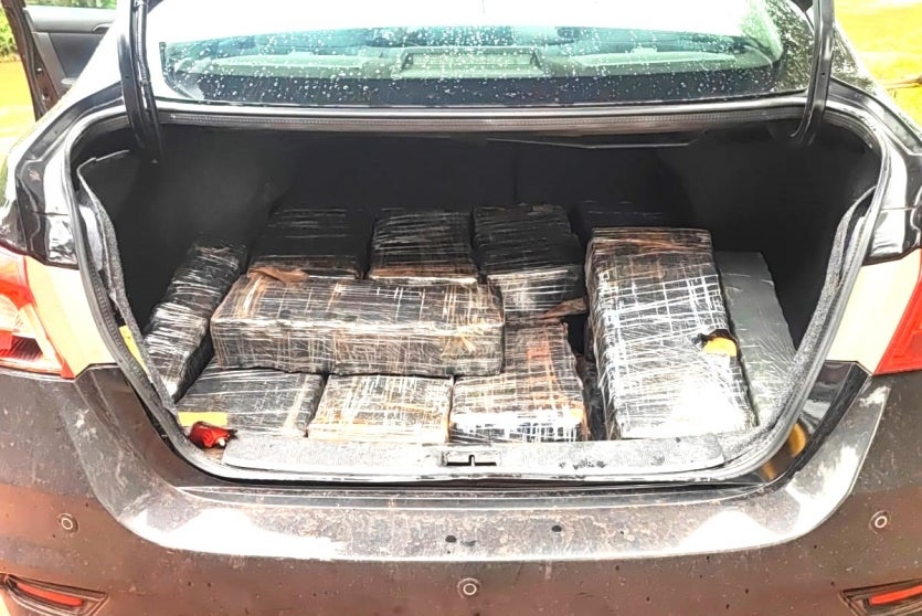 Imagem Do Whatsapp De 2024 11 29 à(s) 15.55.13 06f8391a