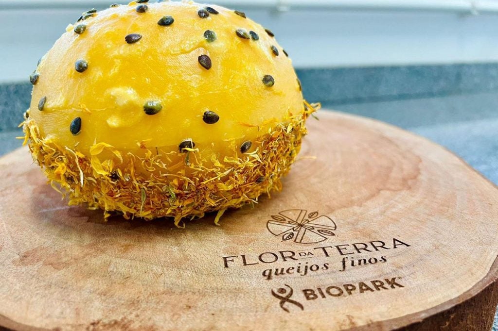Queijo produzido no Paraná é destaque mundial