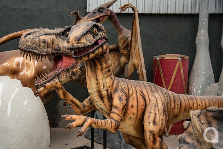 Whatsapp Image 2024 10 31 At 17.55.36 (5)