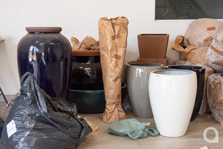 Whatsapp Image 2024 10 31 At 17.55.36