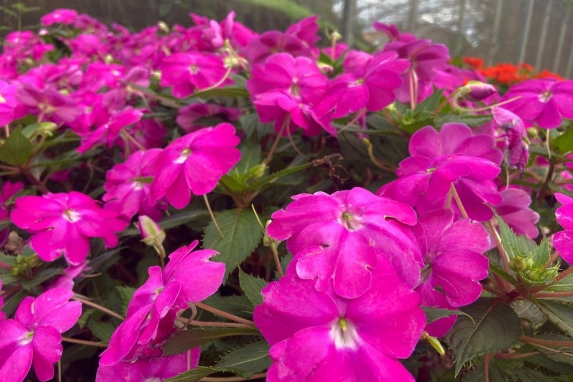 Whatsapp Image 2024 11 08 At 17.36.09