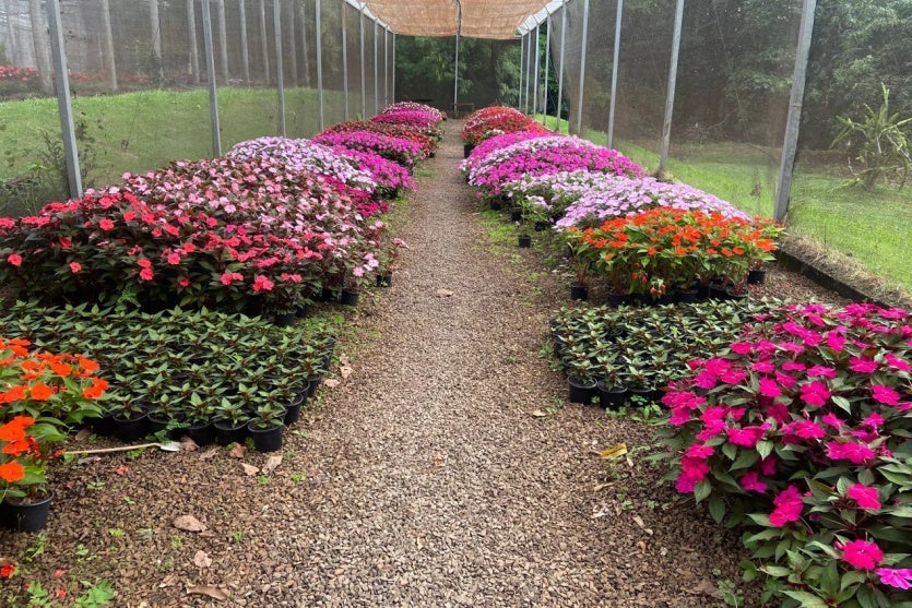 Whatsapp Image 2024 11 08 At 17.36.25