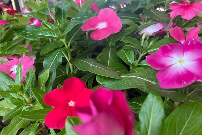 Whatsapp Image 2024 11 08 At 17.36.32