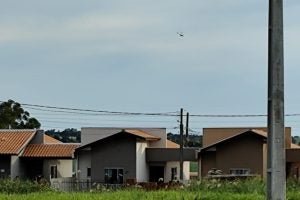 Whatsapp Image 2024 11 17 At 17.52.48