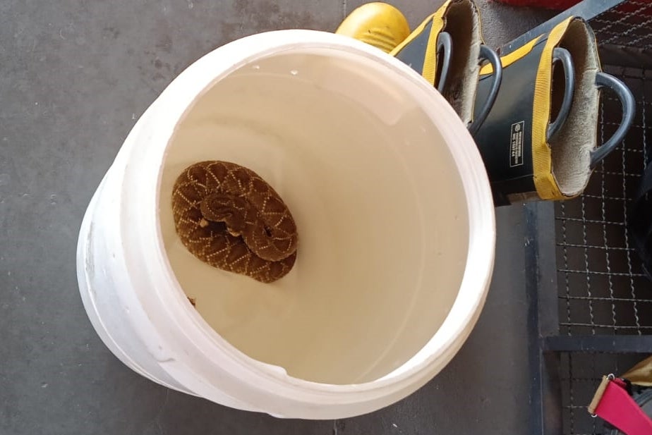 Whatsapp Image 2024 11 26 At 08.23.08