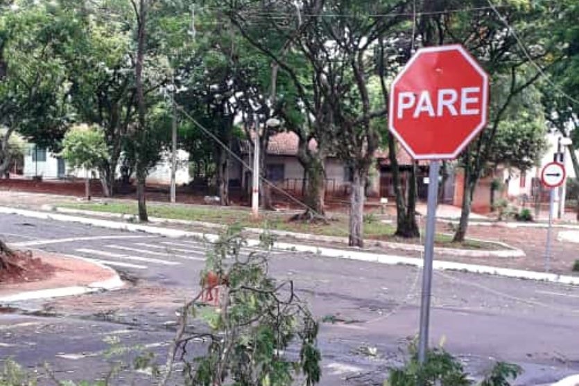 Whatsapp Image 2024 11 27 At 17.55.12 (1)