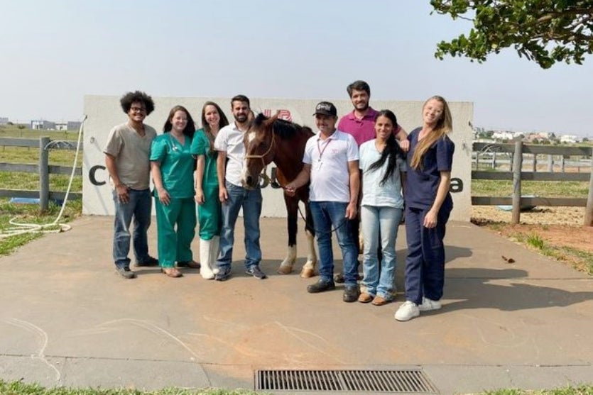 Cavalo 3.max 1024x538.format Jpeg.jpegquality 80