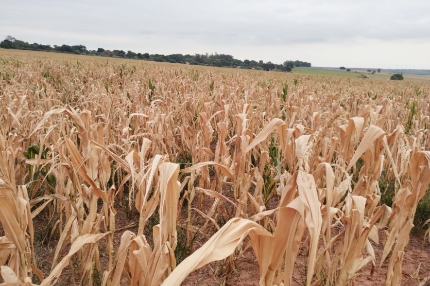 Whatsapp Image 2024 10 24 At 08.48.35 3