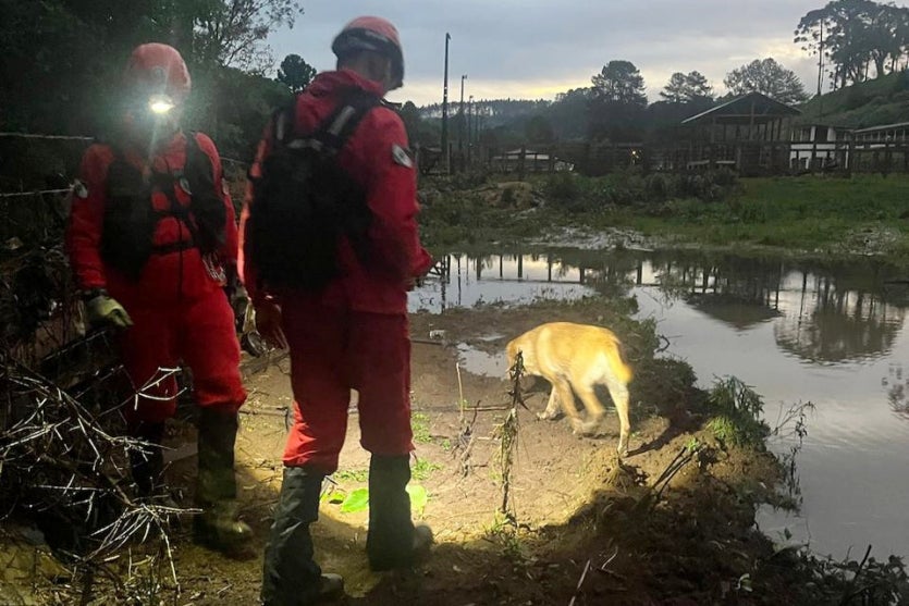 Whatsapp Image 2024 11 08 At 09.36.58