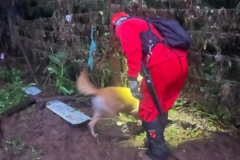 Whatsapp Image 2024 11 08 At 09.36.58 1