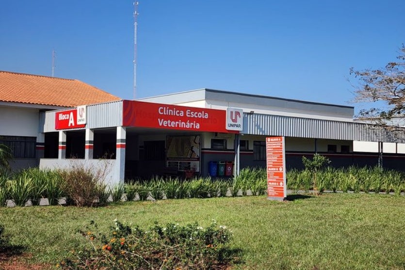 20240802 1108051.max 1024x538.format Jpeg.jpegquality 80 7a1rcv5