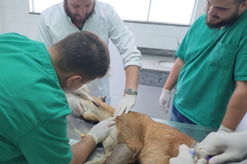 20241209 094532.max 1024x538.format Jpeg.jpegquality 80