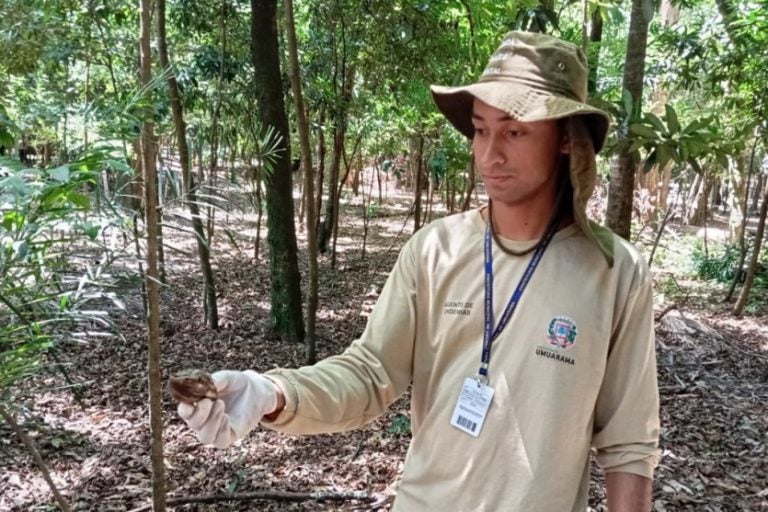 Agentes De Endemias Realizam Controle Populacional De Caramujos No Bosque Uirapuru (1)