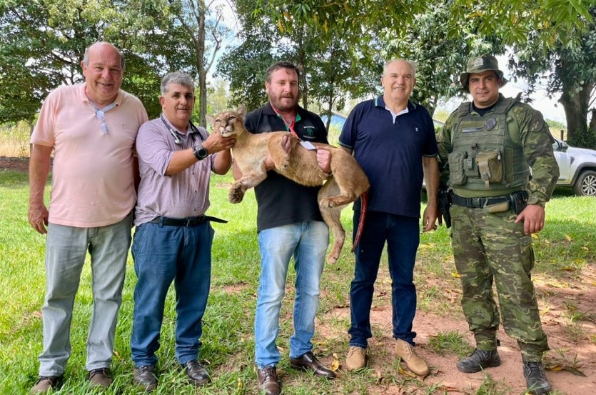 Imagem Do Whatsapp De 2024 12 02 à(s) 16.48.25 Fec4ca8c