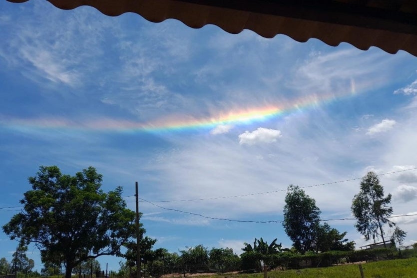 Imagem Do Whatsapp De 2024 12 29 à(s) 11.20.02 25a4c4d3