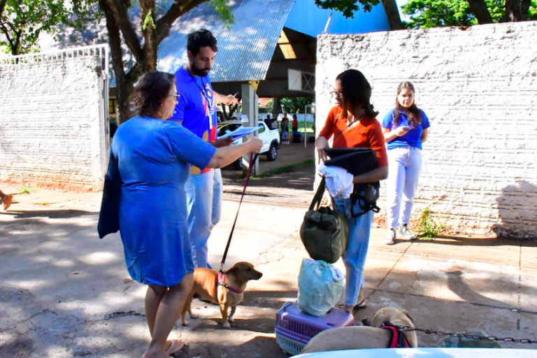 Programa Castrapet Esteriliza 111 Cães E Gatos Em Sua Terceira Edição Em Umuarama