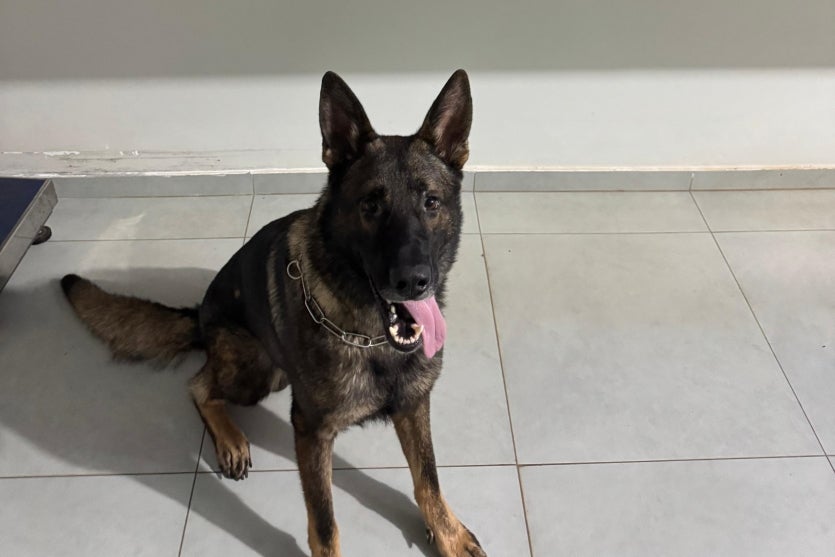 Whatsapp Image 2024 12 06 At 07.04.22 (1)