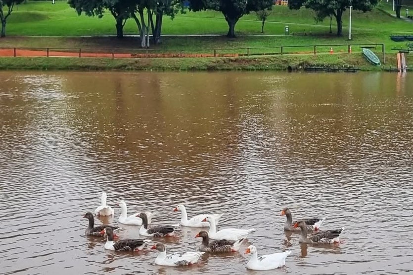 Whatsapp Image 2024 12 10 At 11.56.41(1)