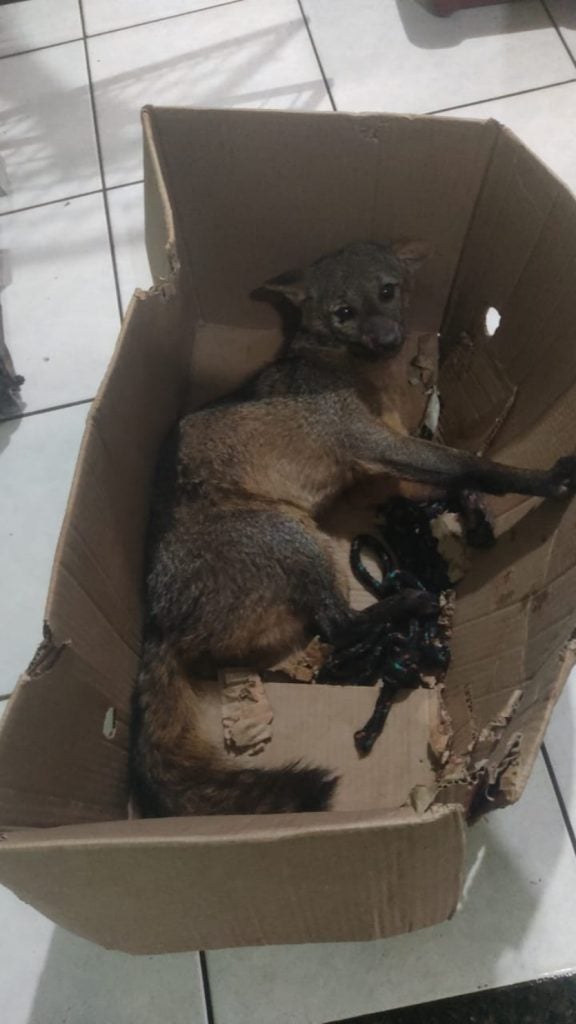 Whatsapp Image 2024 12 21 At 07.48.24 (1)