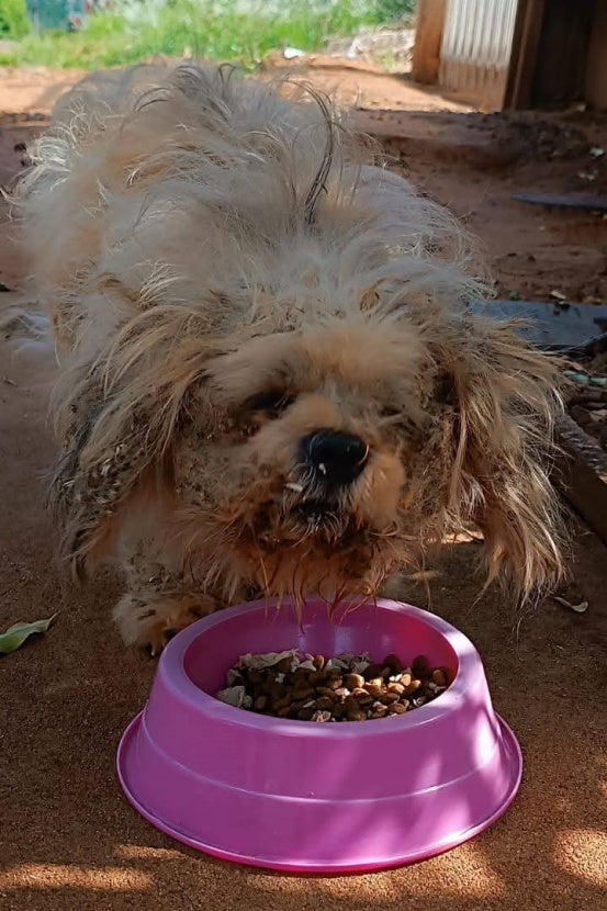 Whatsapp Image 2024 12 31 At 14.46.03