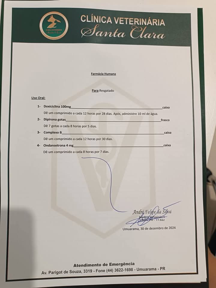 Whatsapp Image 2024 12 31 At 14.51.52 (1)