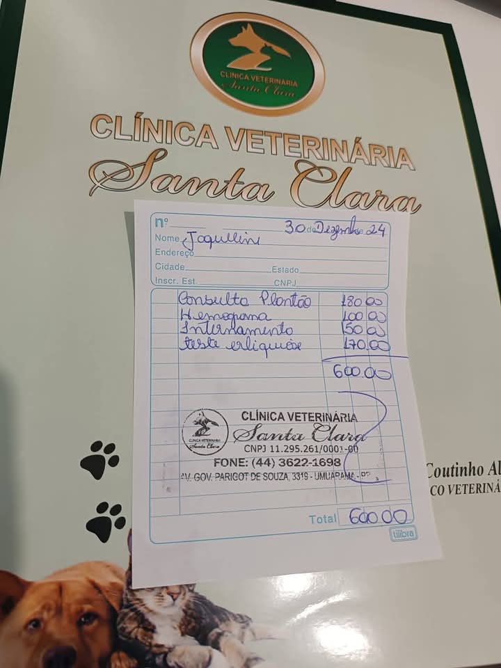 Whatsapp Image 2024 12 31 At 14.51.52