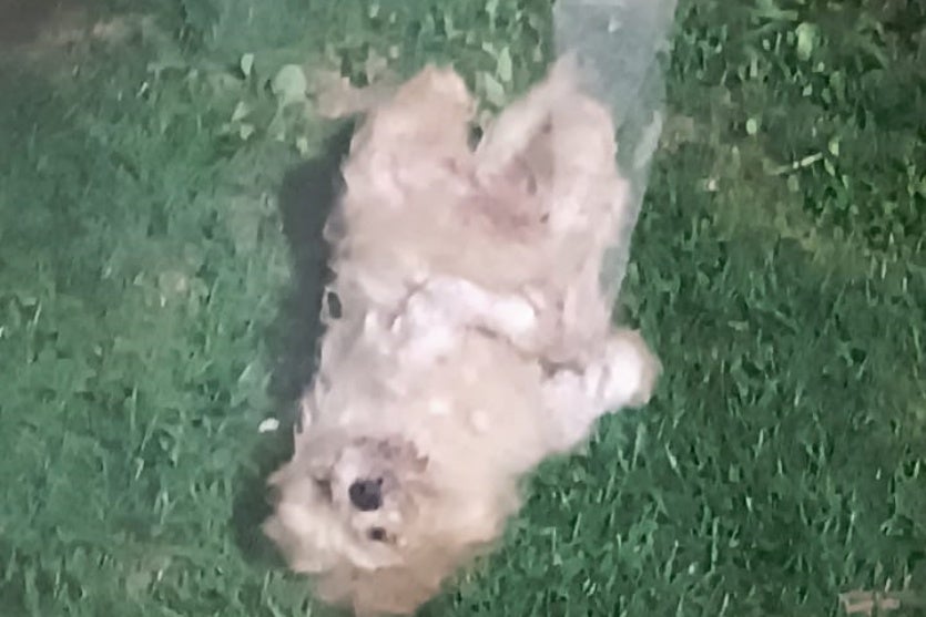 Whatsapp Image 2024 12 31 At 15.09.37